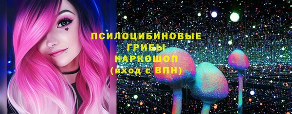 ПСИЛОЦИБИНОВЫЕ ГРИБЫ Богородицк