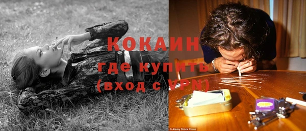 таблы Бородино