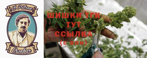 таблы Бородино