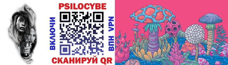 darknet как зайти  сколько стоит  Волгореченск  Псилоцибиновые грибы MAGIC MUSHROOMS 